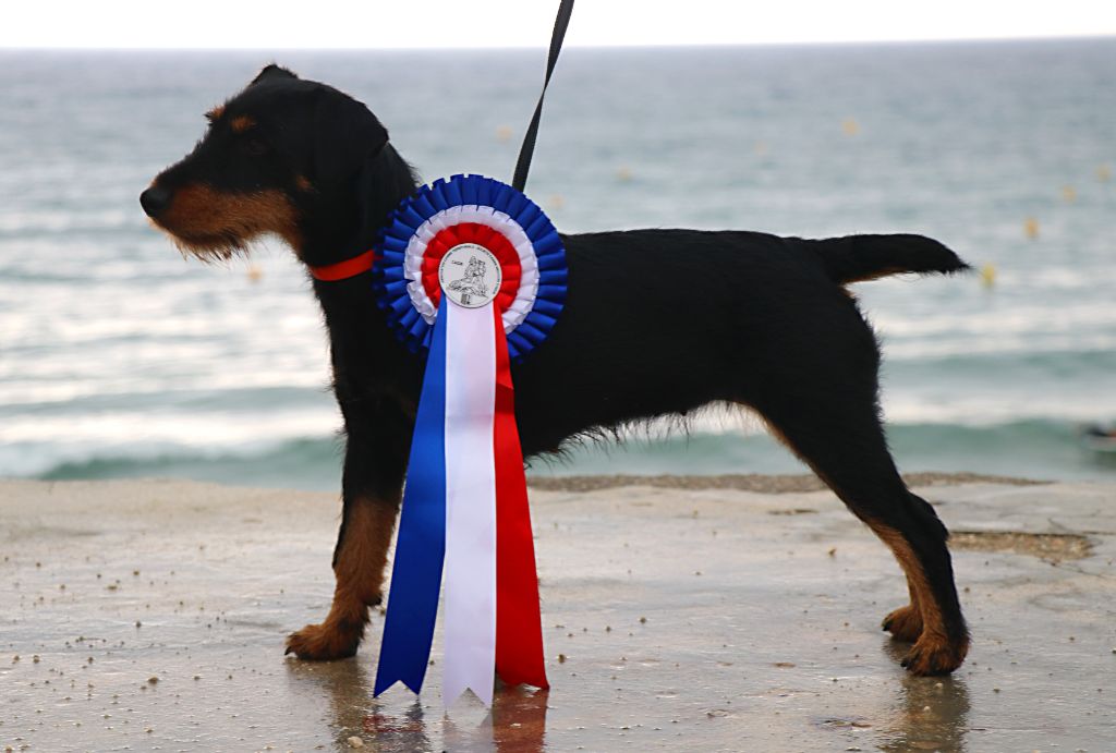 De Pech & Catmalou - Pixelle Championne de France de Beauté!