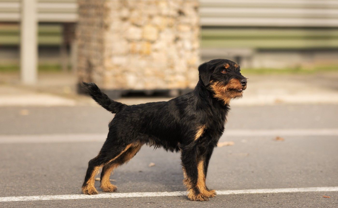 CH. Vortex De Pech & Catmalou