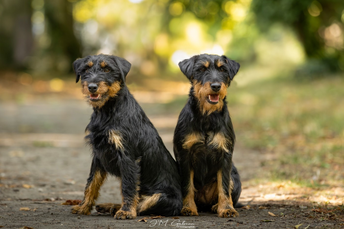 Clap de fin en beauté sur 2025!