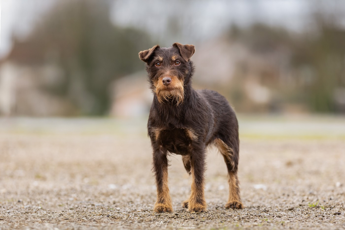Championne Vétérante!!