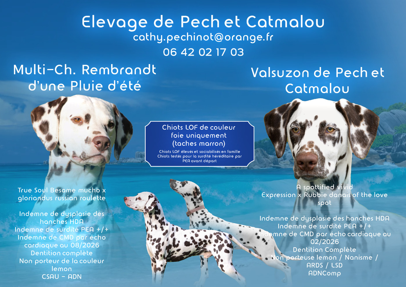 Bébés en vue...!