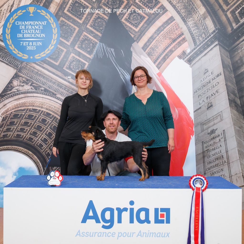 Une nouvelle championne de France à l'élevage!!