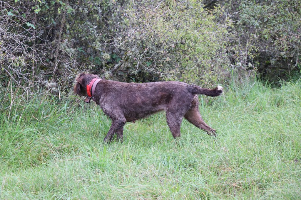 Un p'tit challenge pour Melba!